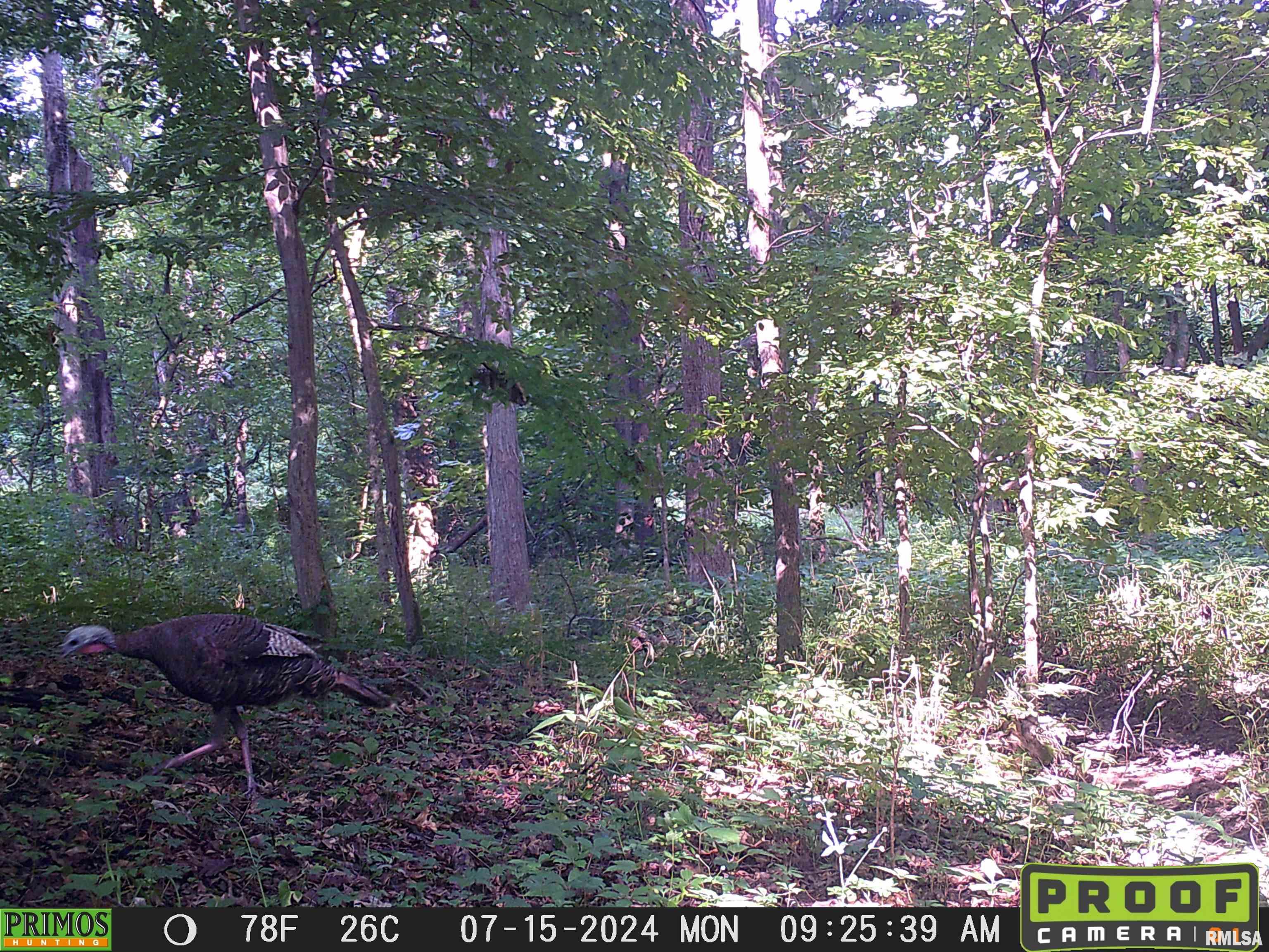 10965 East 700th Avenue Watson, IL 62473 - Photo 68 of 97