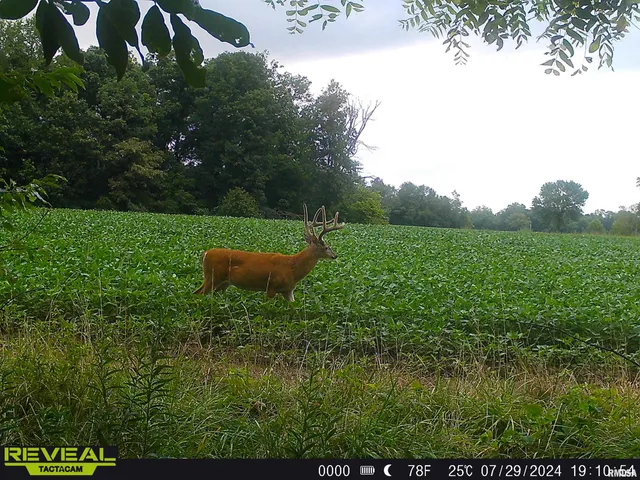 $1,200,000 | 10965 East 700th Avenue, Watson, IL 62473