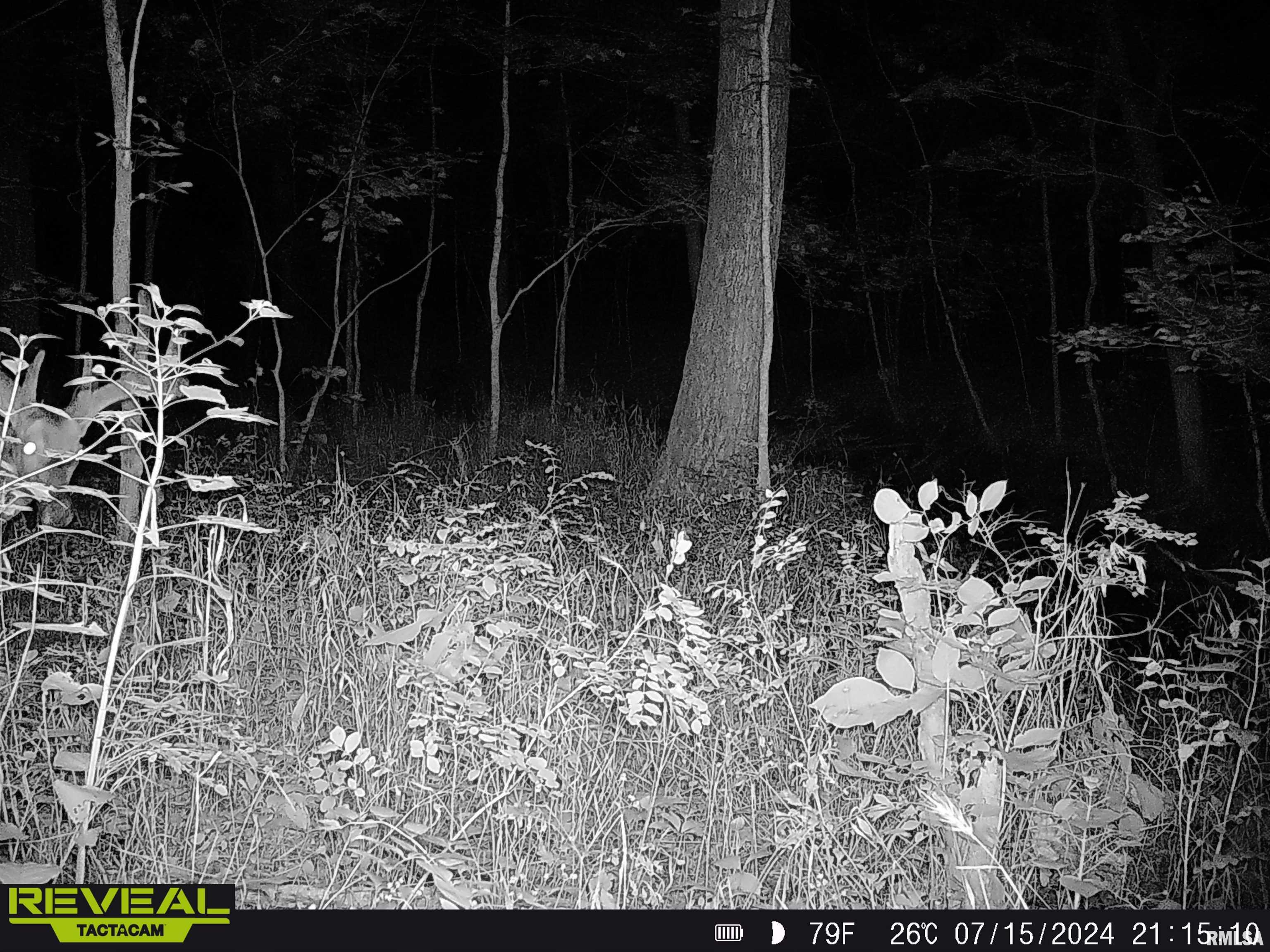 10965 East 700th Avenue Watson, IL 62473 - Photo 72 of 97