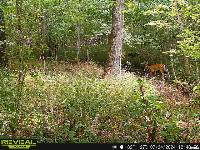 $1,200,000 | 10965 East 700th Avenue, Watson, IL 62473