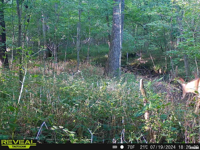 $1,200,000 | 10965 East 700th Avenue, Watson, IL 62473