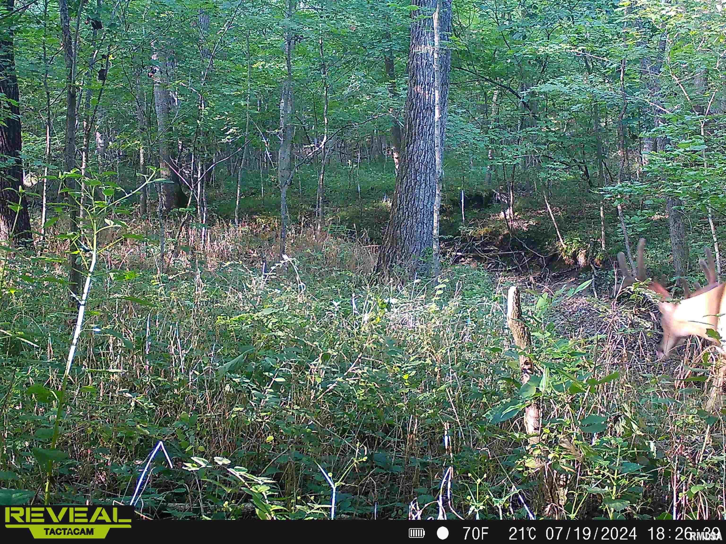 10965 East 700th Avenue Watson, IL 62473 - Photo 76 of 97