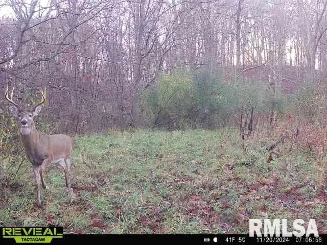 $1,200,000 | 10965 East 700th Avenue, Watson, IL 62473