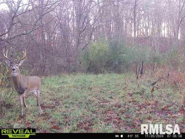 10965 East 700th Avenue Watson, IL 62473 - Photo 77 of 97