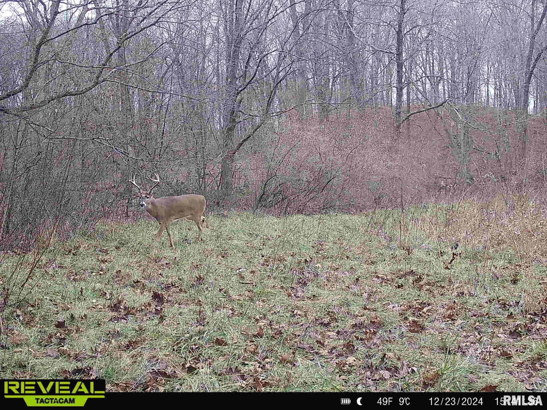 10965 East 700th Avenue Watson, IL 62473 - Photo 78 of 97