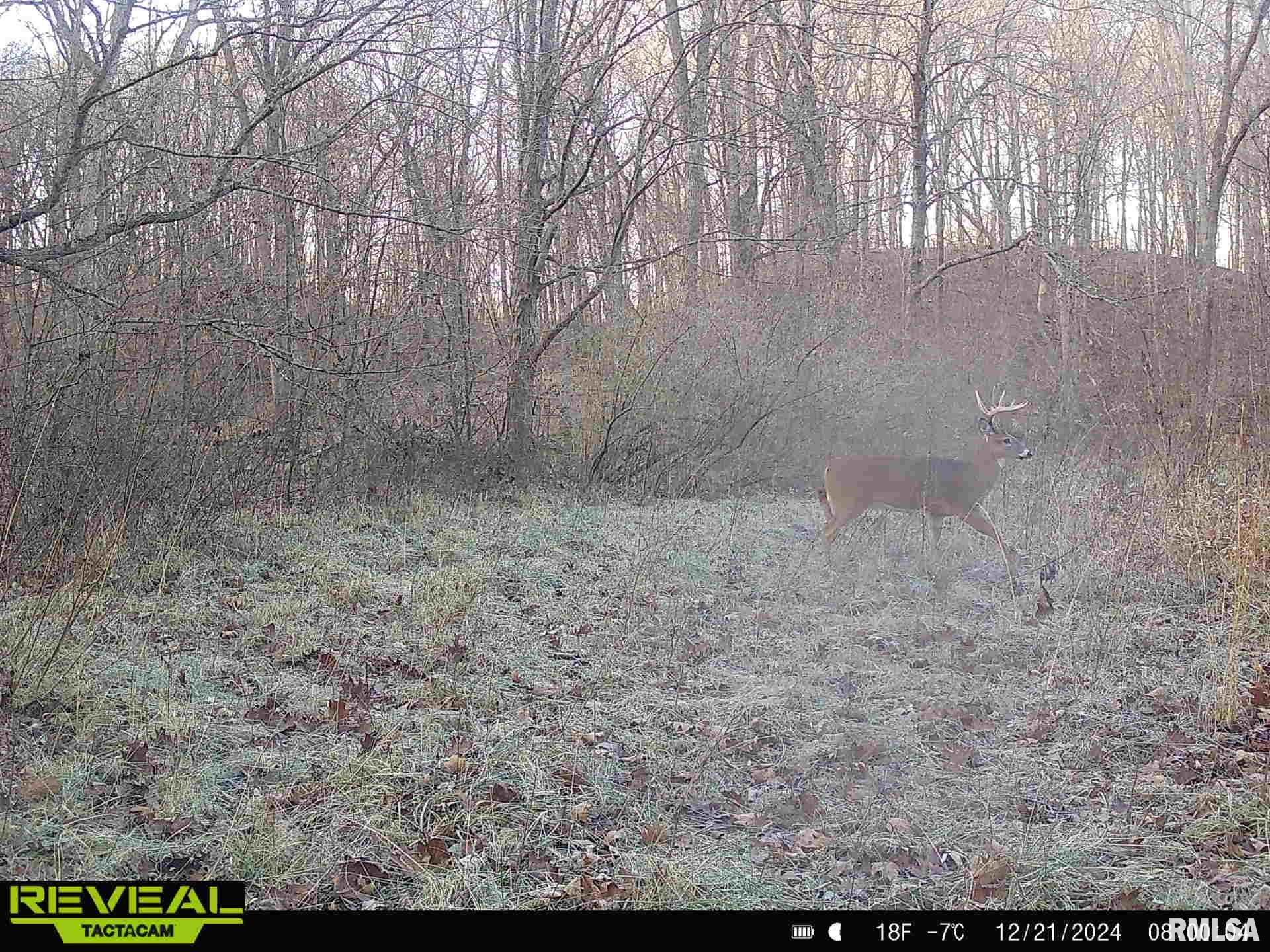 10965 East 700th Avenue Watson, IL 62473 - Photo 79 of 97