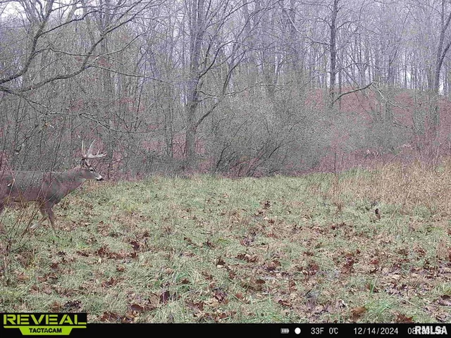 $1,200,000 | 10965 East 700th Avenue, Watson, IL 62473