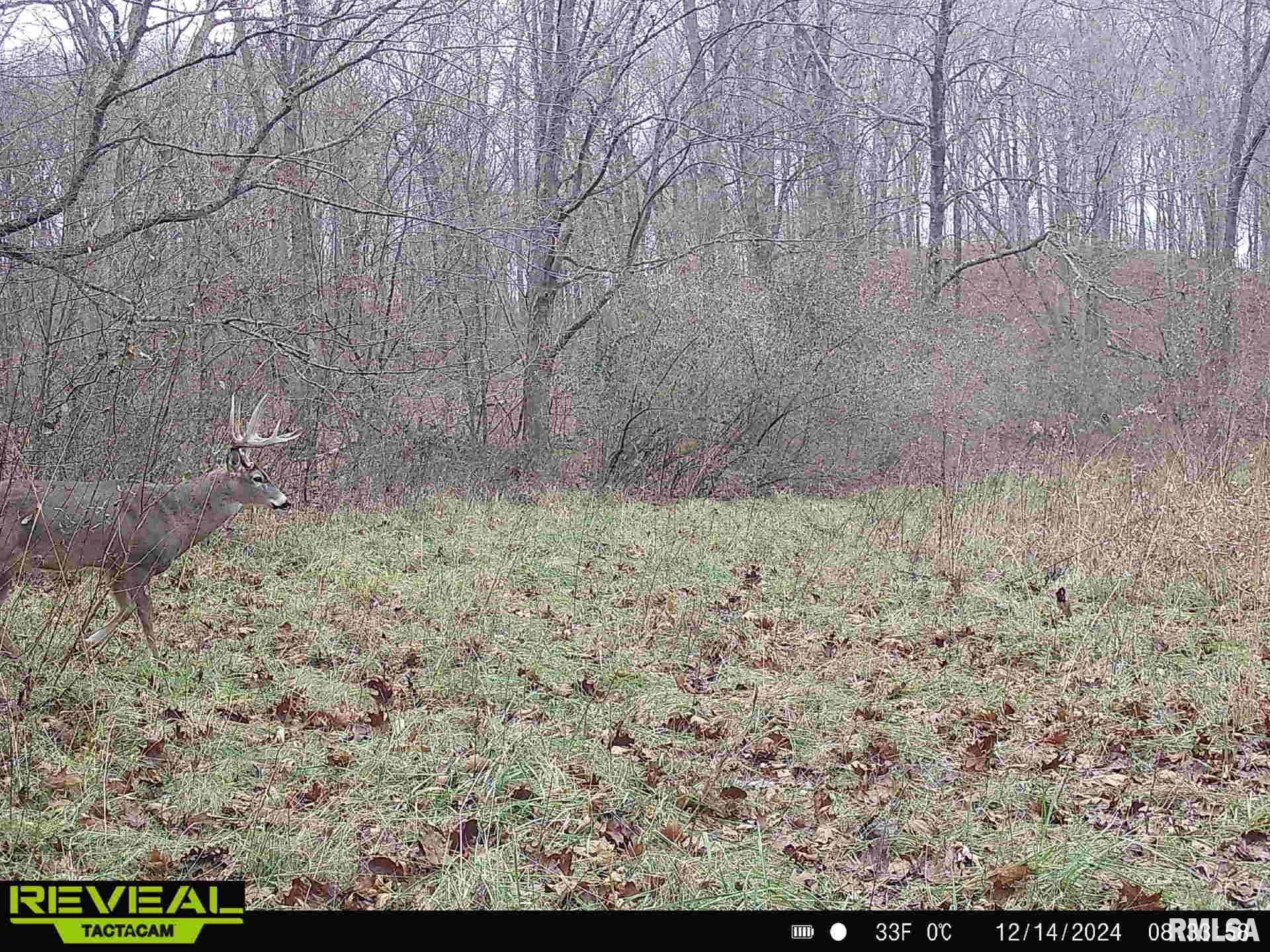 10965 East 700th Avenue Watson, IL 62473 - Photo 80 of 97