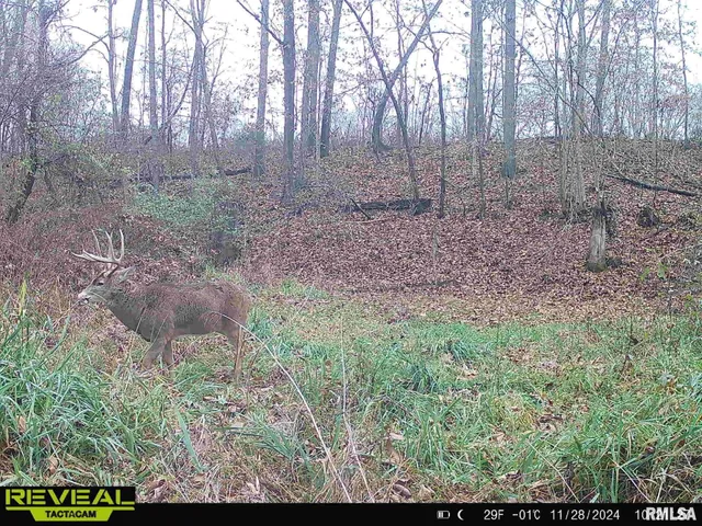 $1,200,000 | 10965 East 700th Avenue, Watson, IL 62473