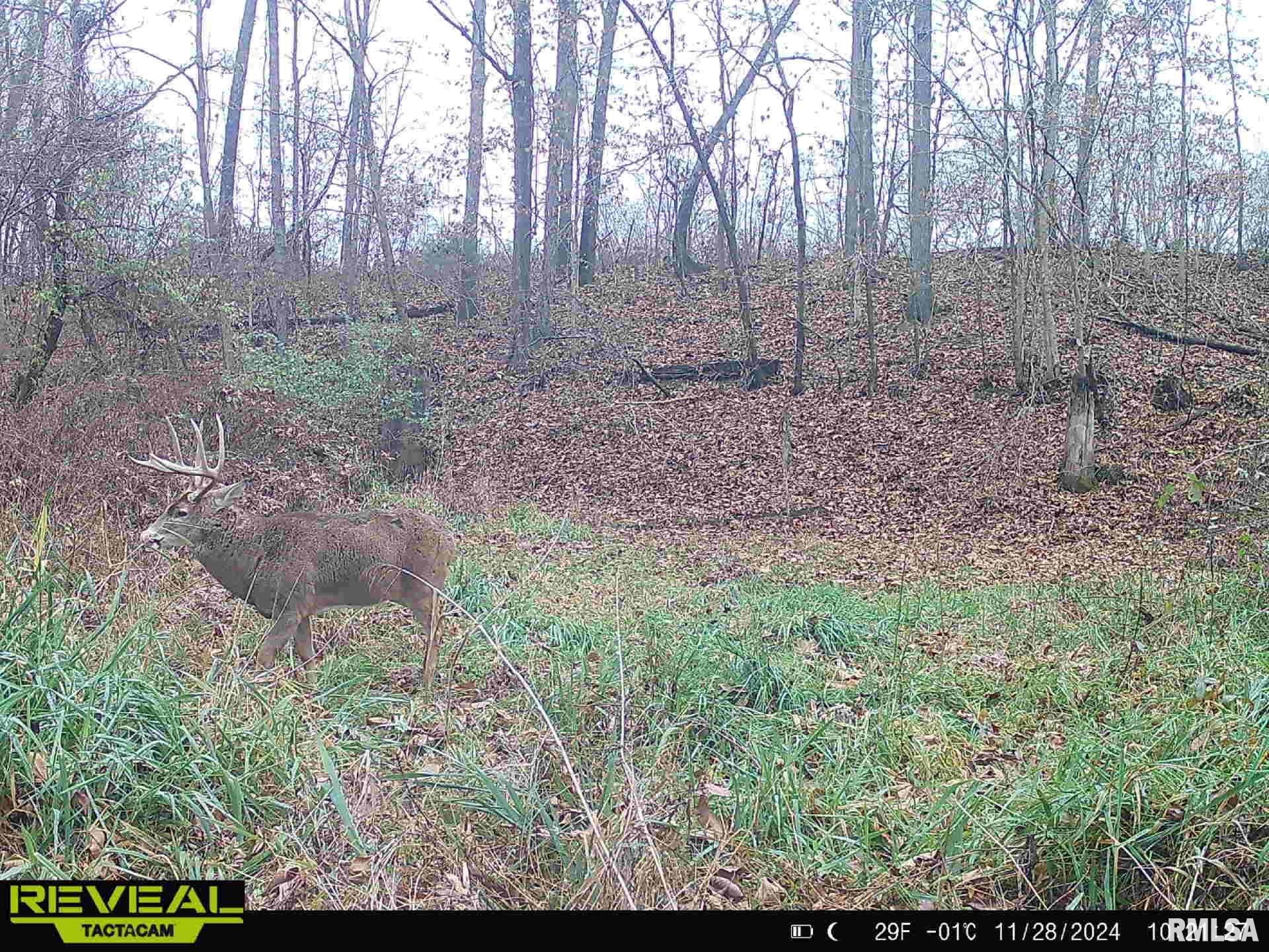 10965 East 700th Avenue Watson, IL 62473 - Photo 81 of 97