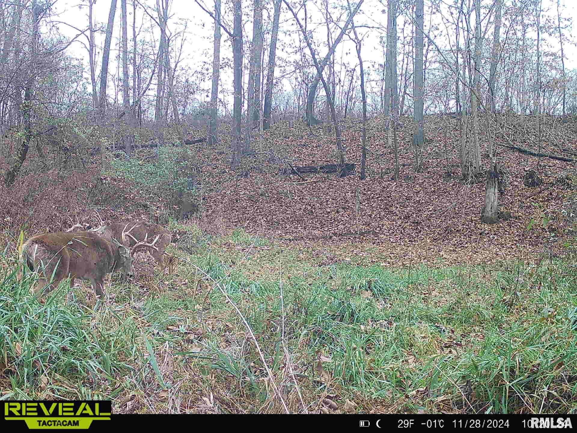 10965 East 700th Avenue Watson, IL 62473 - Photo 82 of 97