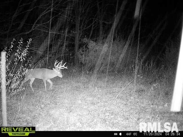 10965 East 700th Avenue Watson, IL 62473 - Photo 83 of 97