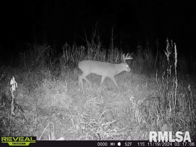 10965 East 700th Avenue Watson, IL 62473 - Photo 84 of 97