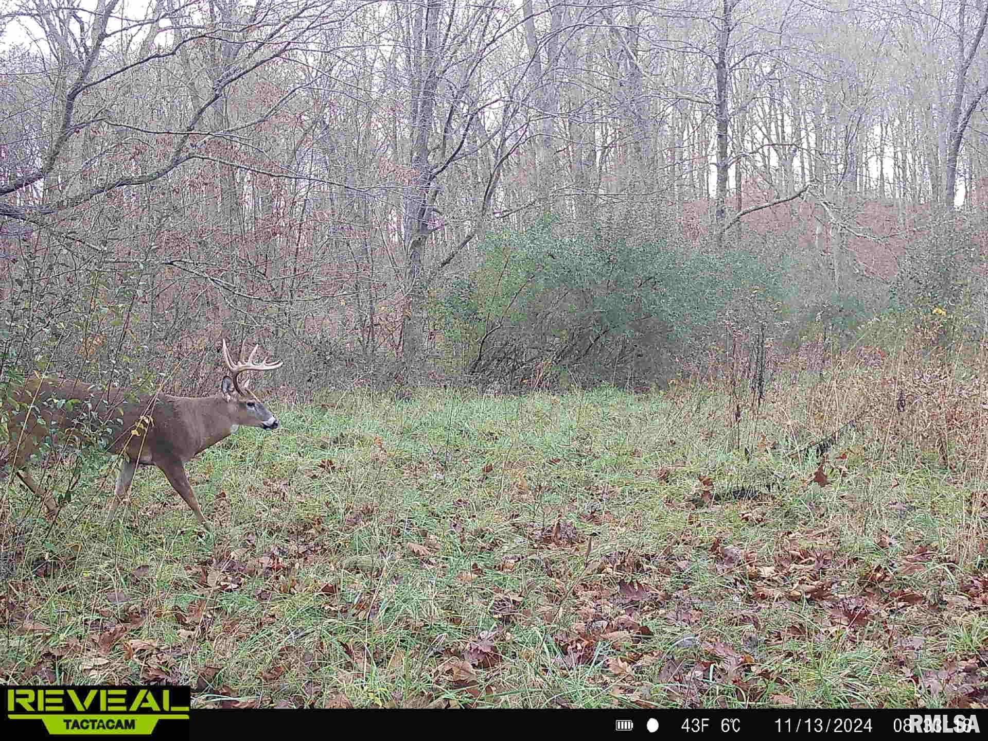 10965 East 700th Avenue Watson, IL 62473 - Photo 85 of 97