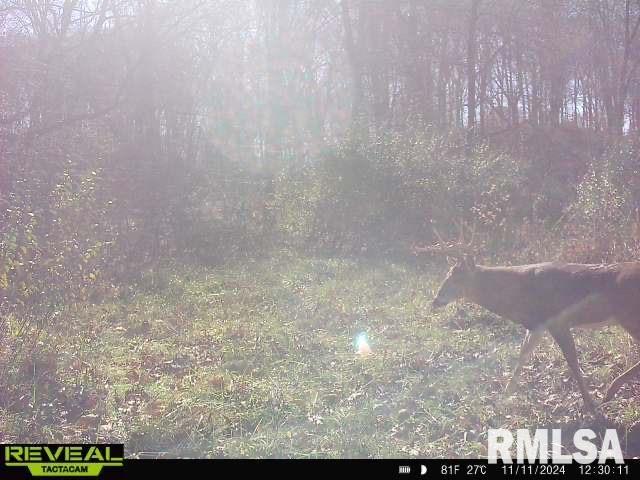 10965 East 700th Avenue Watson, IL 62473 - Photo 86 of 97