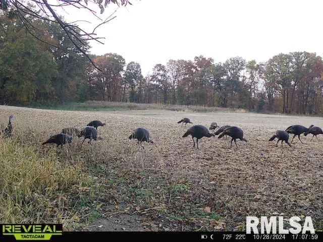 $1,200,000 | 10965 East 700th Avenue, Watson, IL 62473