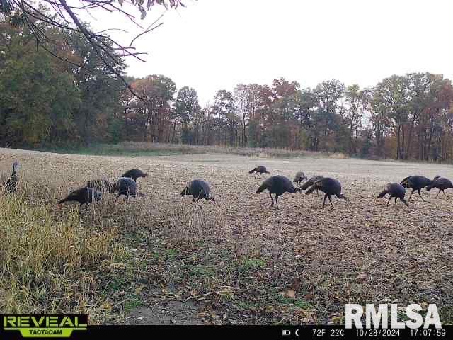 10965 East 700th Avenue Watson, IL 62473 - Photo 87 of 97