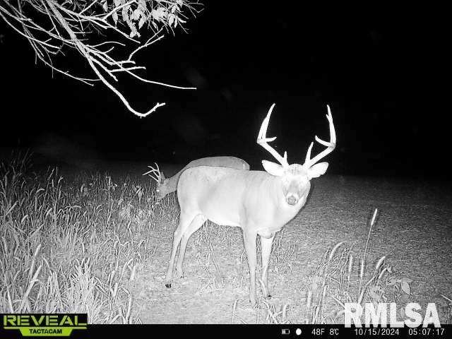 10965 East 700th Avenue Watson, IL 62473 - Photo 88 of 97