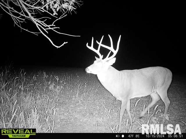 10965 East 700th Avenue Watson, IL 62473 - Photo 89 of 97