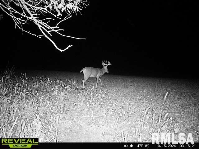 10965 East 700th Avenue Watson, IL 62473 - Photo 90 of 97