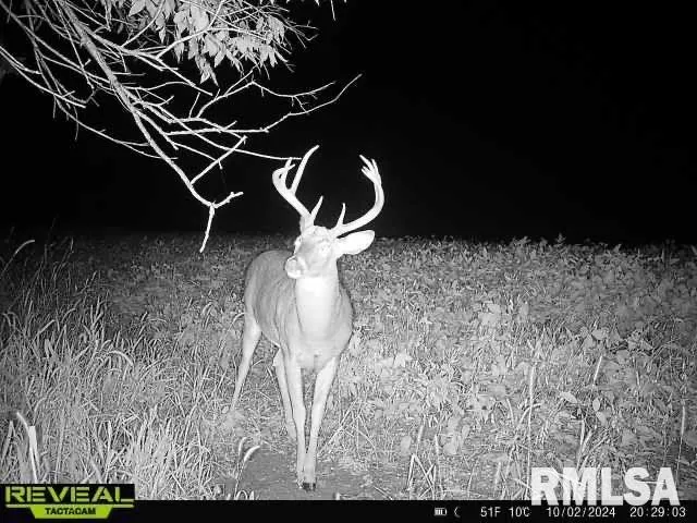 $1,200,000 | 10965 East 700th Avenue, Watson, IL 62473