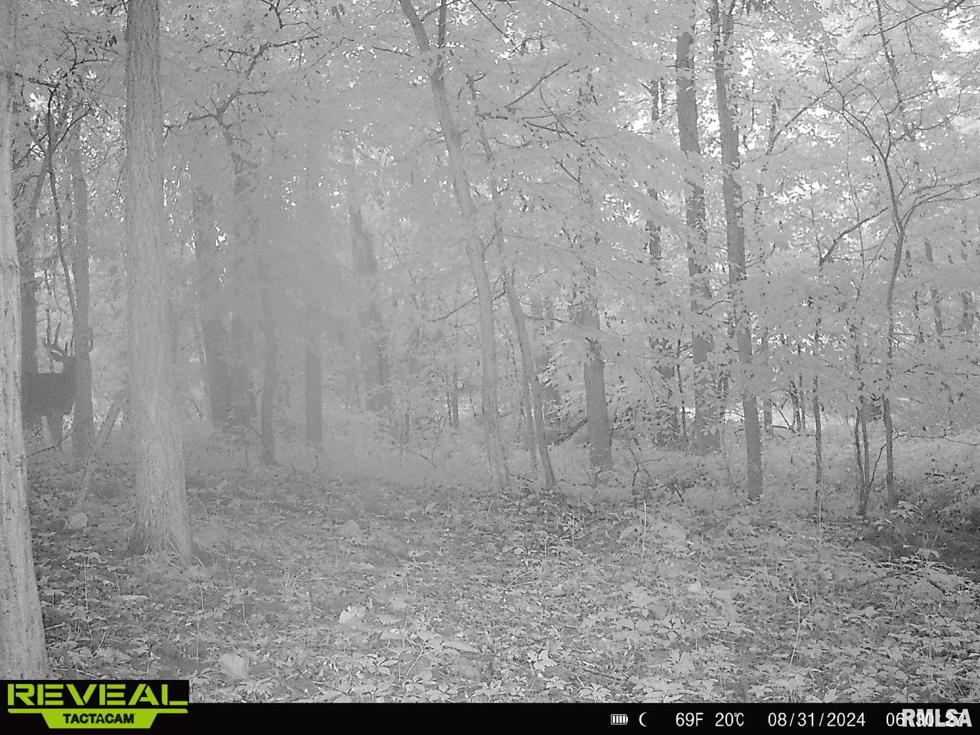 10965 East 700th Avenue Watson, IL 62473 - Photo 92 of 97