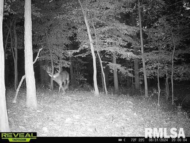 10965 East 700th Avenue Watson, IL 62473 - Photo 93 of 97