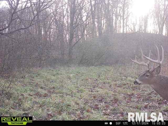 10965 East 700th Avenue Watson, IL 62473 - Photo 94 of 97