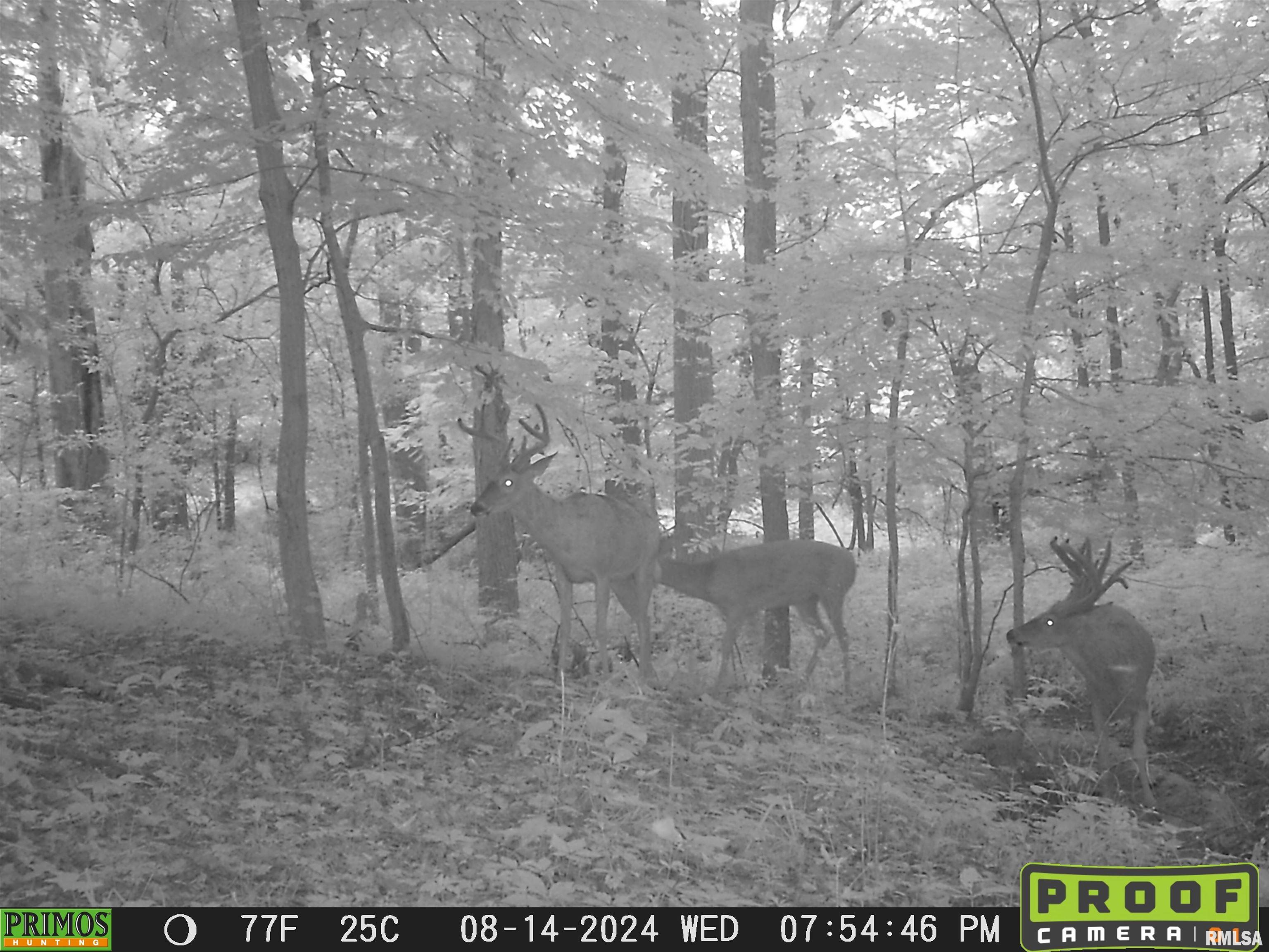 10965 East 700th Avenue Watson, IL 62473 - Photo 95 of 97