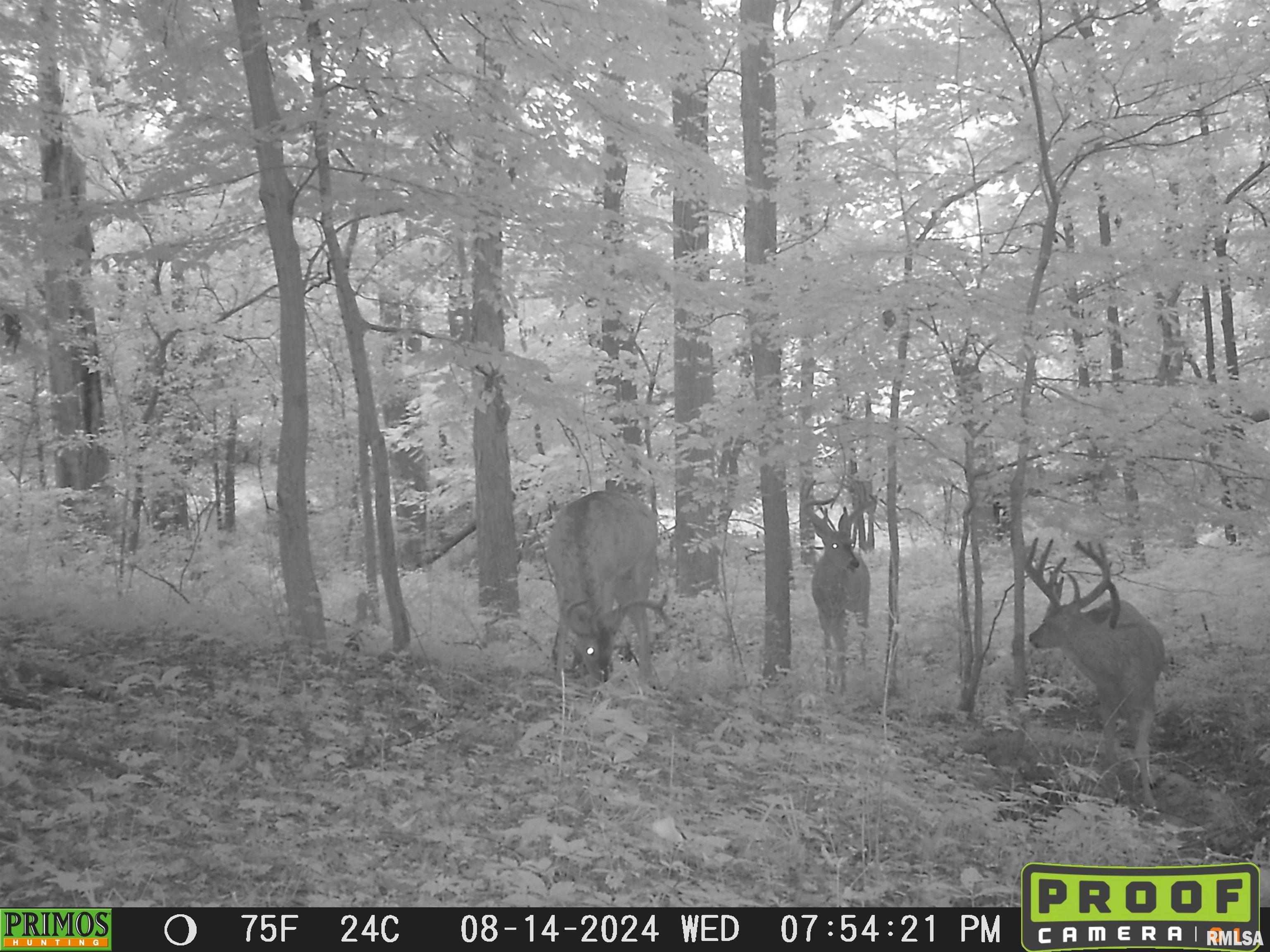 10965 East 700th Avenue Watson, IL 62473 - Photo 96 of 97