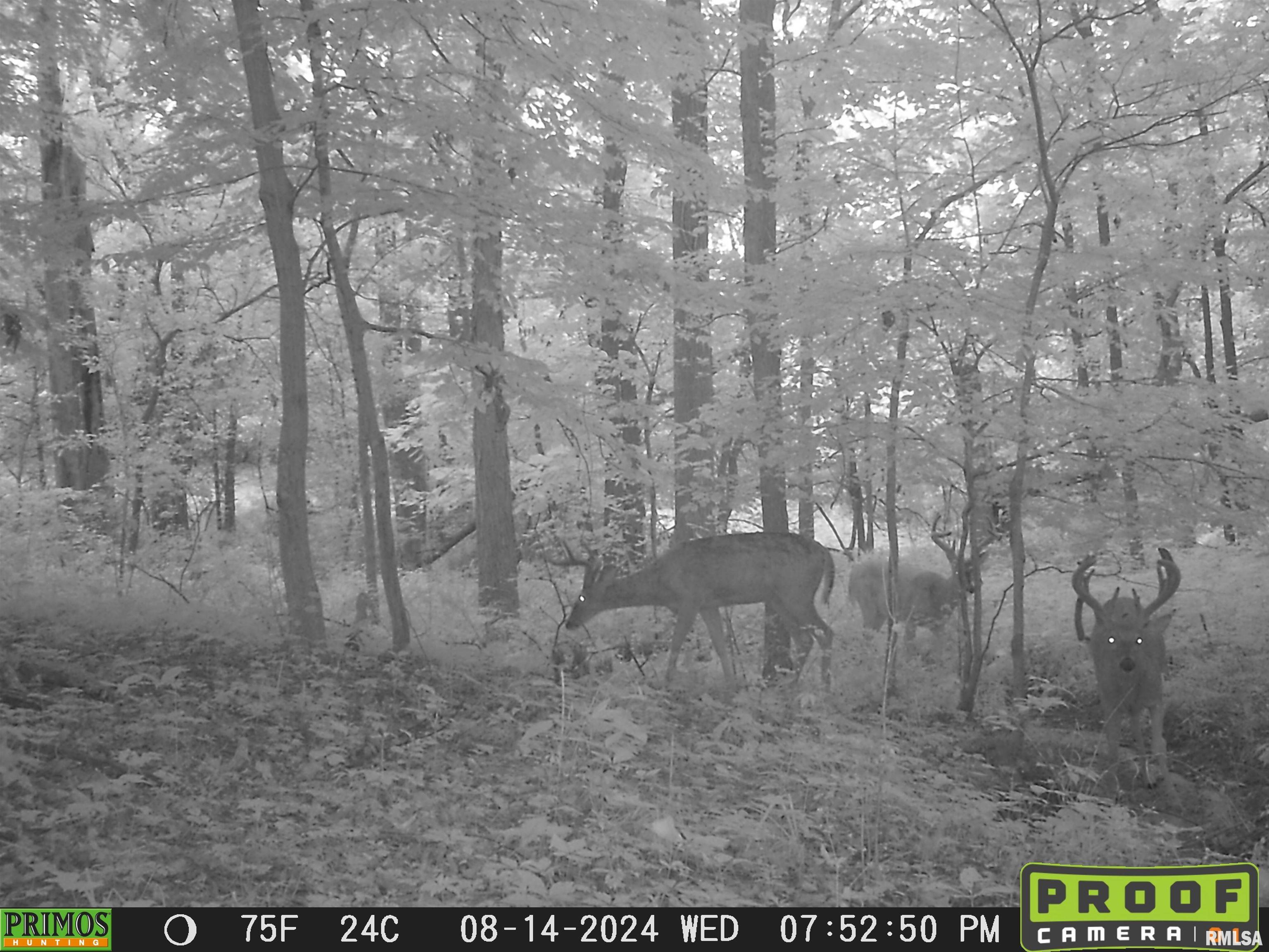 10965 East 700th Avenue Watson, IL 62473 - Photo 97 of 97