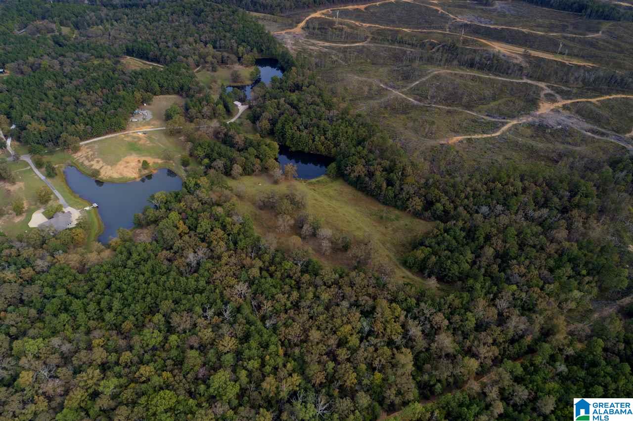 8471 Serene Lake Road McCalla, AL 35111 - Photo 9 of 25