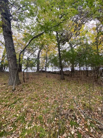 $42,000 | Lot 43 Lakota Island Estates, Big Stone City, SD 57216