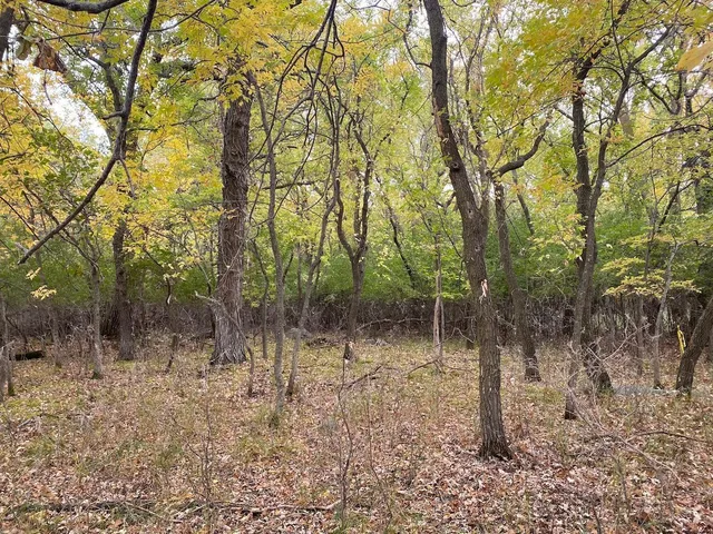 $42,000 | Lot 43 Lakota Island Estates, Big Stone City, SD 57216