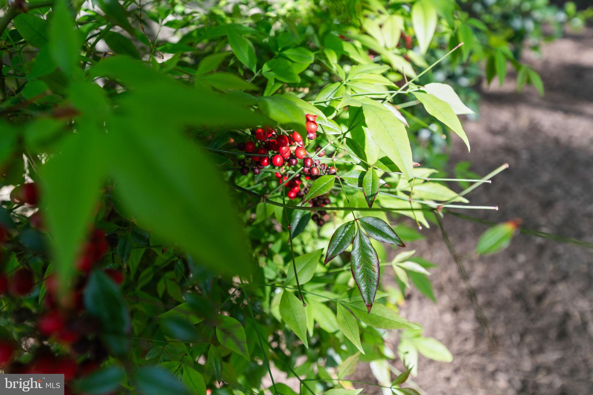 9801 Pulham Road Burke, VA 22015 - Photo 46 of 63