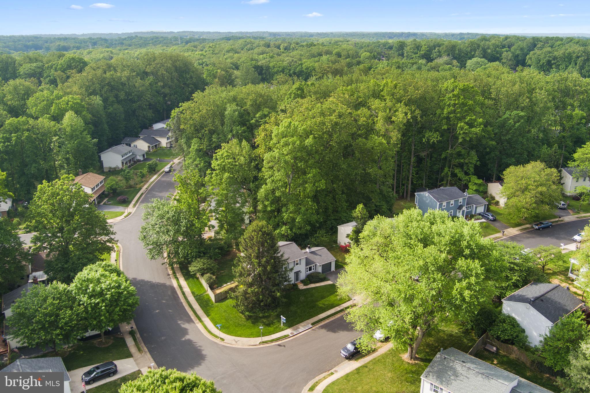 9801 Pulham Road Burke, VA 22015 - Photo 48 of 63