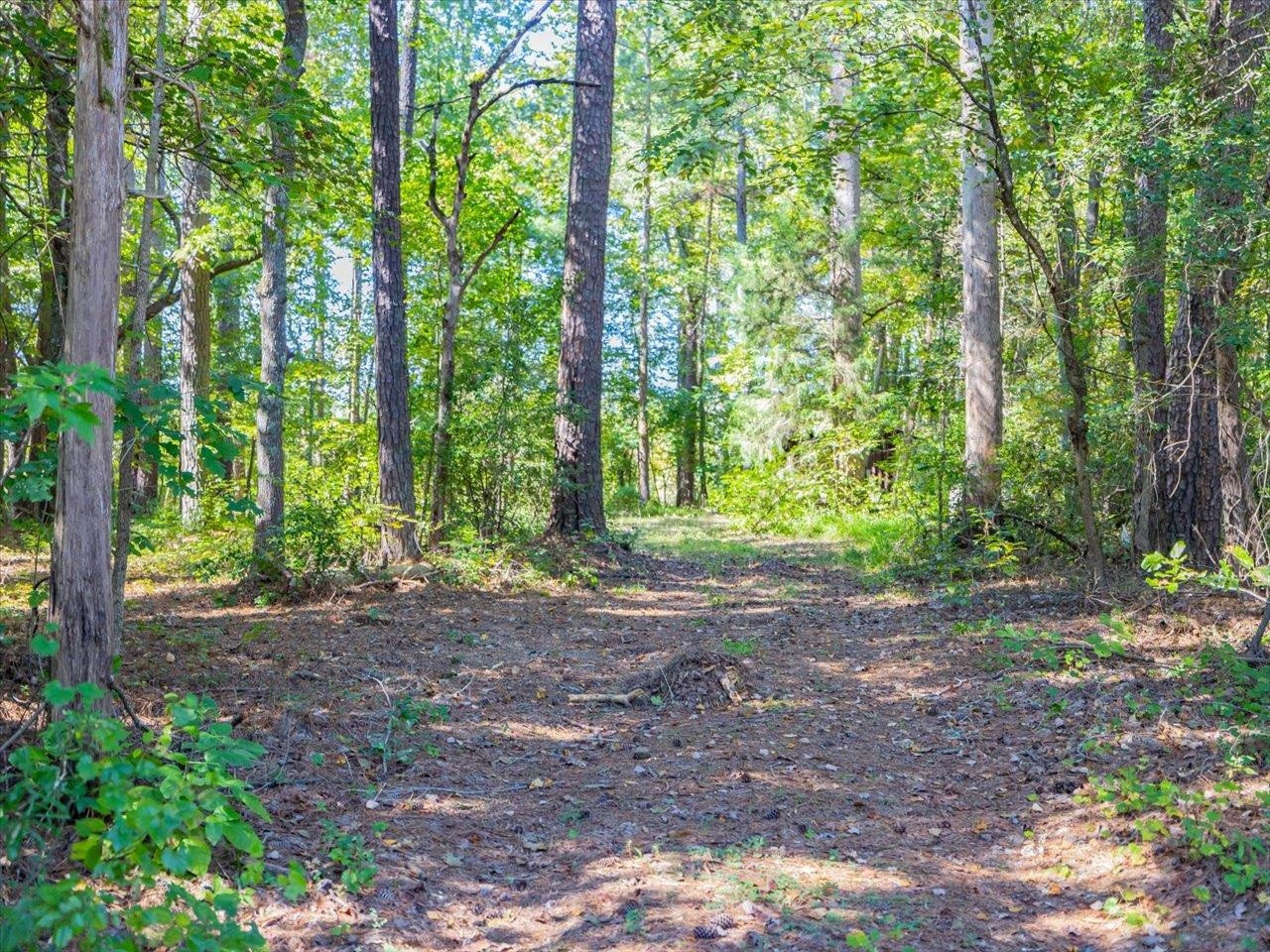 667 Emerson Cook Road Pittsboro, NC 27312 - Photo 23 of 24 Photo 23