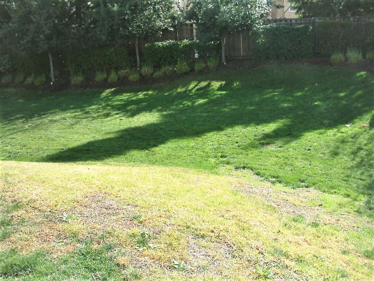 51 Sturla Way Gilroy, CA 95020 - Photo 24 of 27 a backyard of a house with lots of green space and lake view