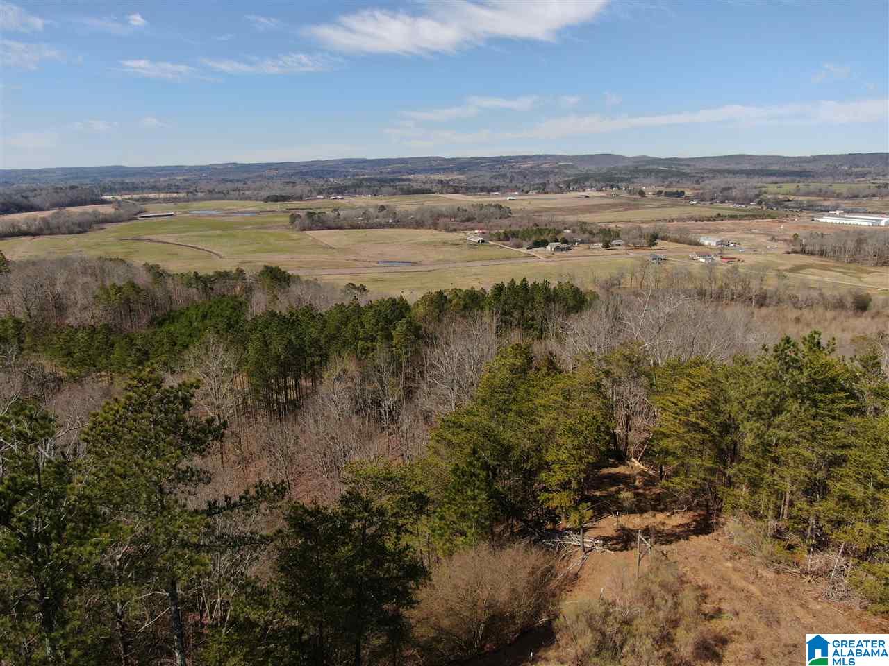 79 Highway 79 Cleveland, AL 35049 - Photo 1 of 36