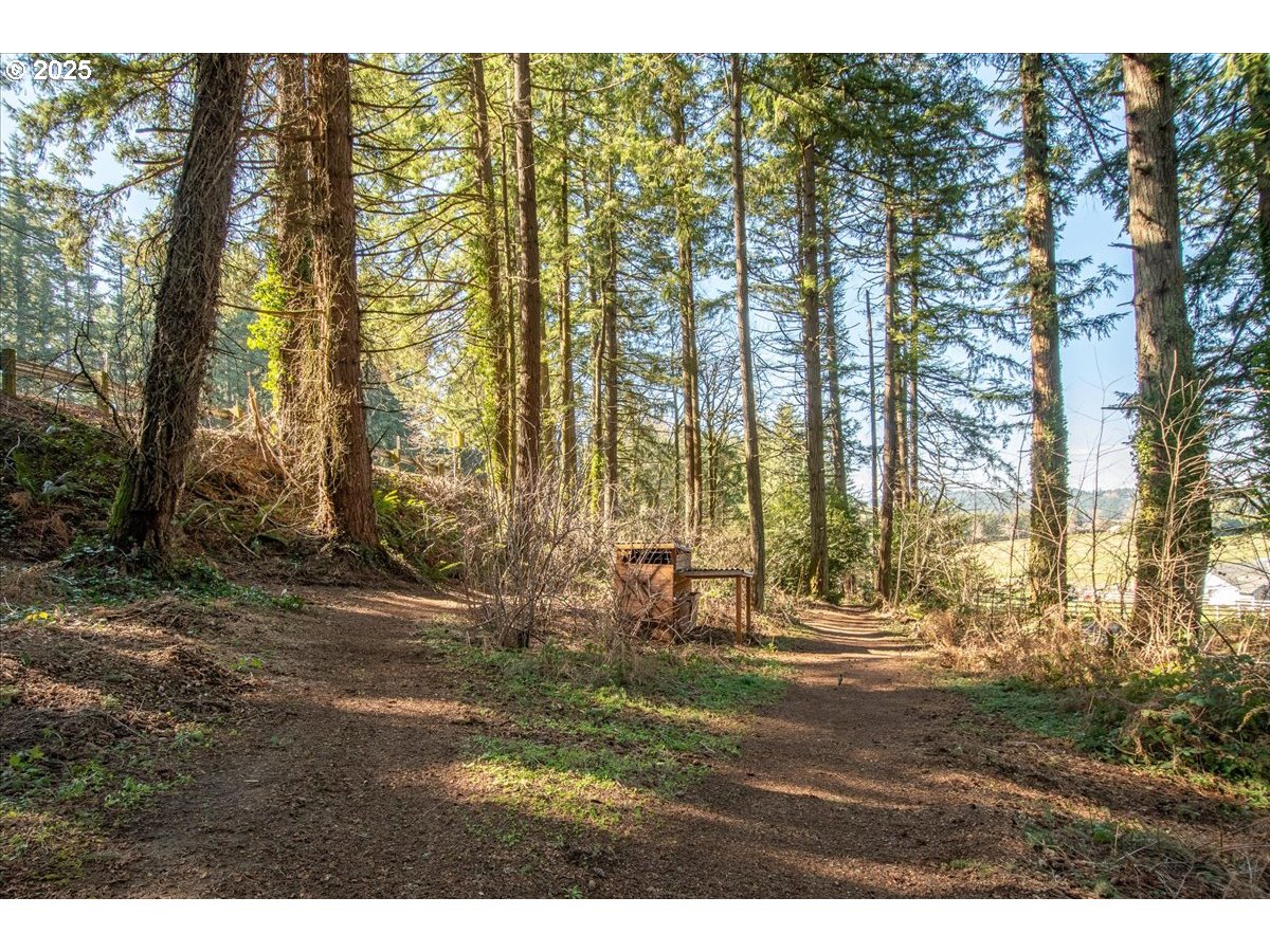 13135 Southeast Winston Road Damascus, OR 97089 - Photo 41 of 48