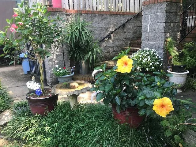 $799,999 | 117 Deerfield Drive, Columbia, TN 38401