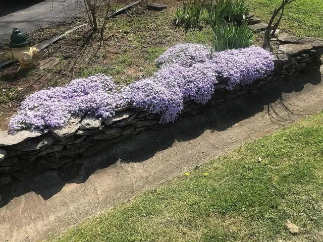 $799,999 | 117 Deerfield Drive, Columbia, TN 38401