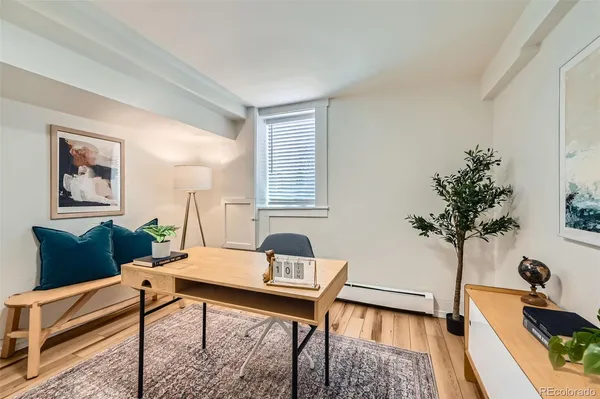 a living room with furniture and a potted plant