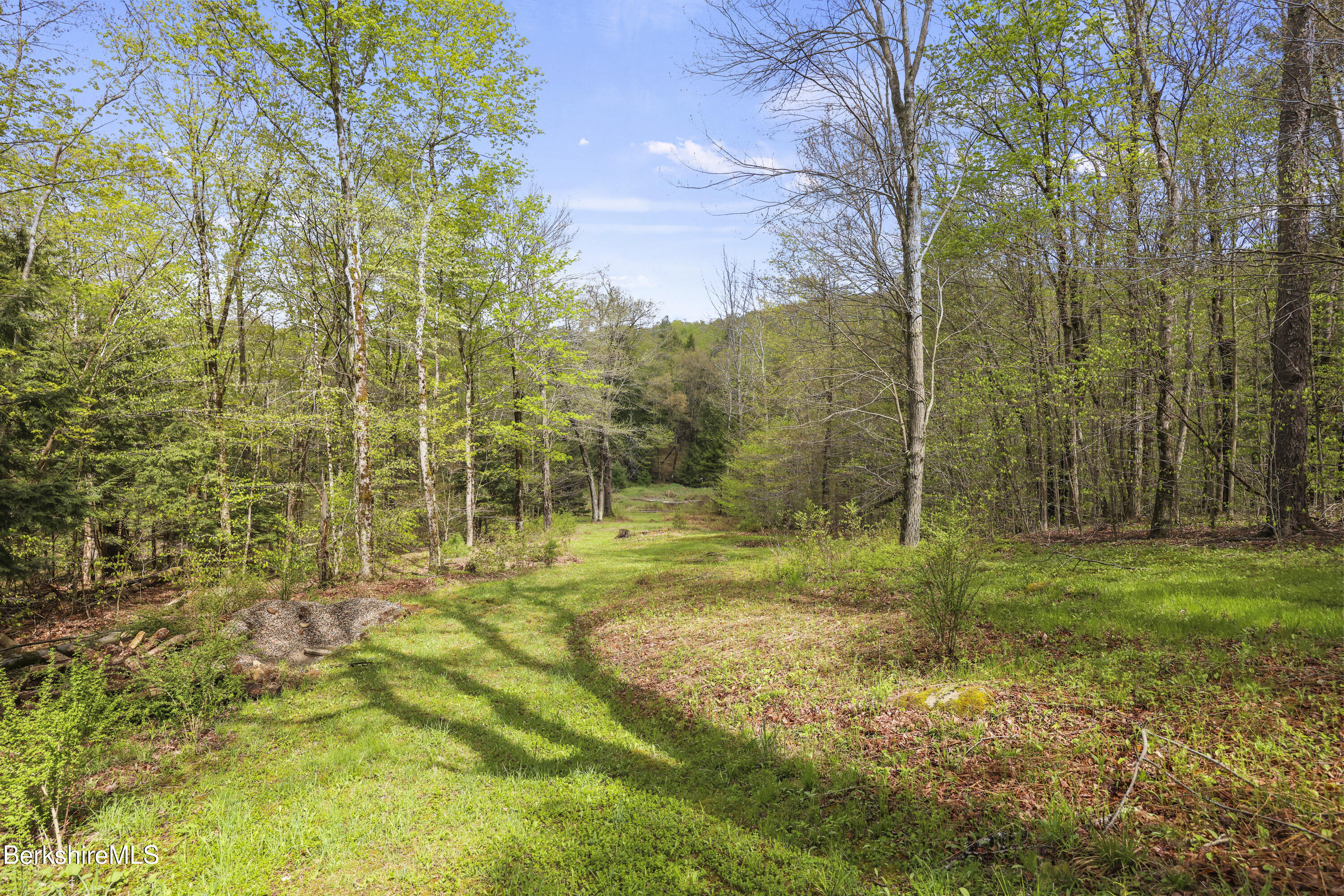 189 Cross Place Road Washington, MA 01223 - Photo 40 of 43 open and wooded