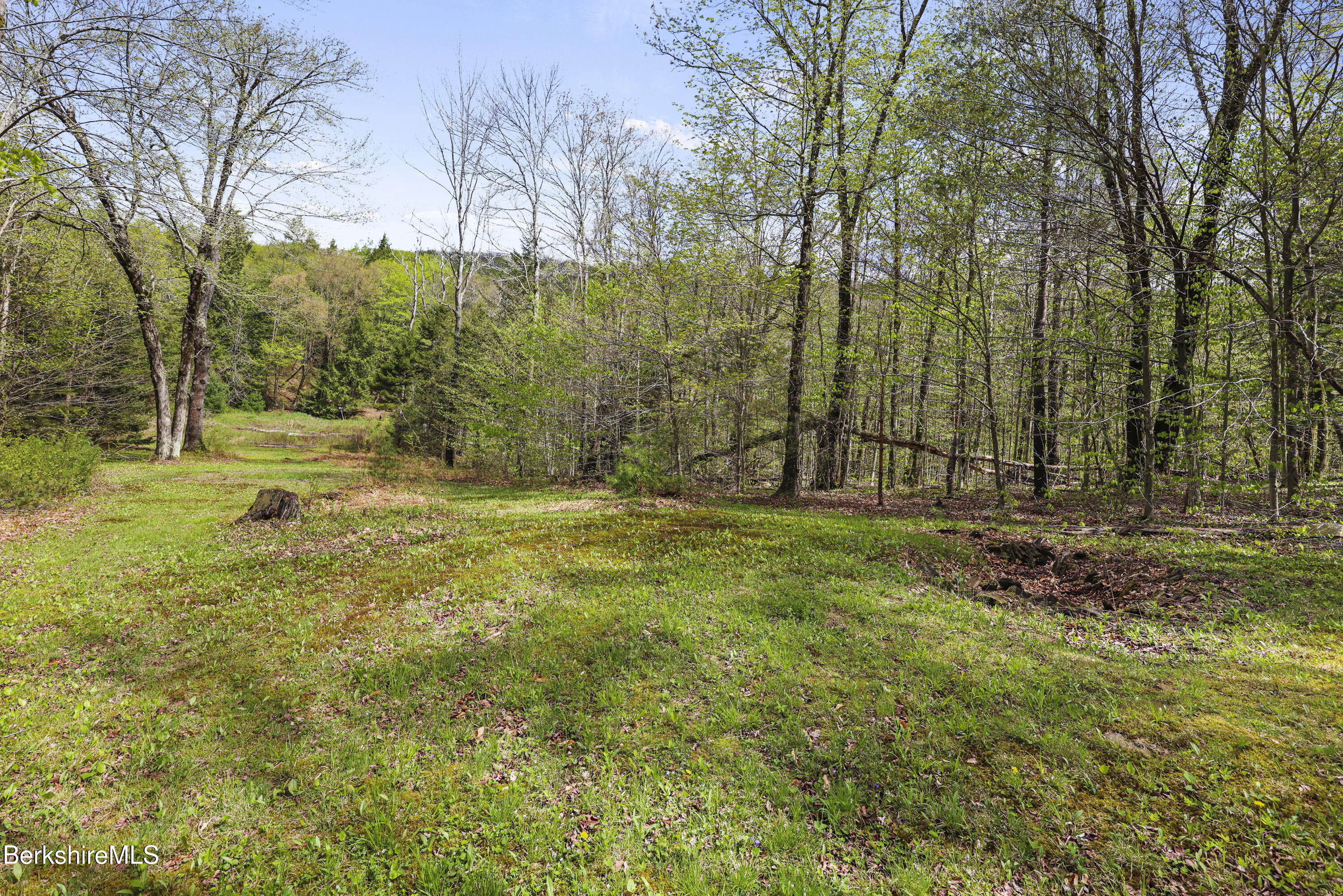189 Cross Place Road Washington, MA 01223 - Photo 41 of 43 land view