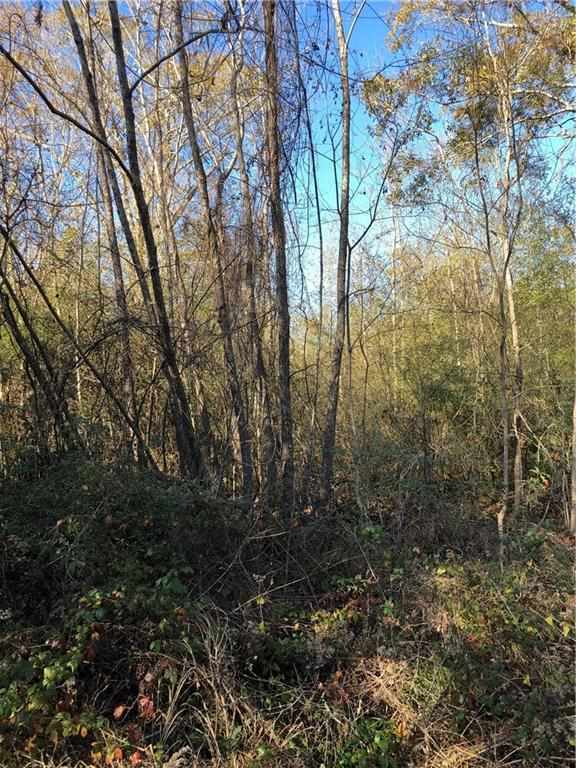 46081 Durbin Road Hammond, LA 70401 - Photo 3 of 5