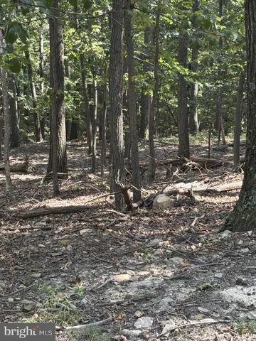 a view of a tree in the middle of a yard