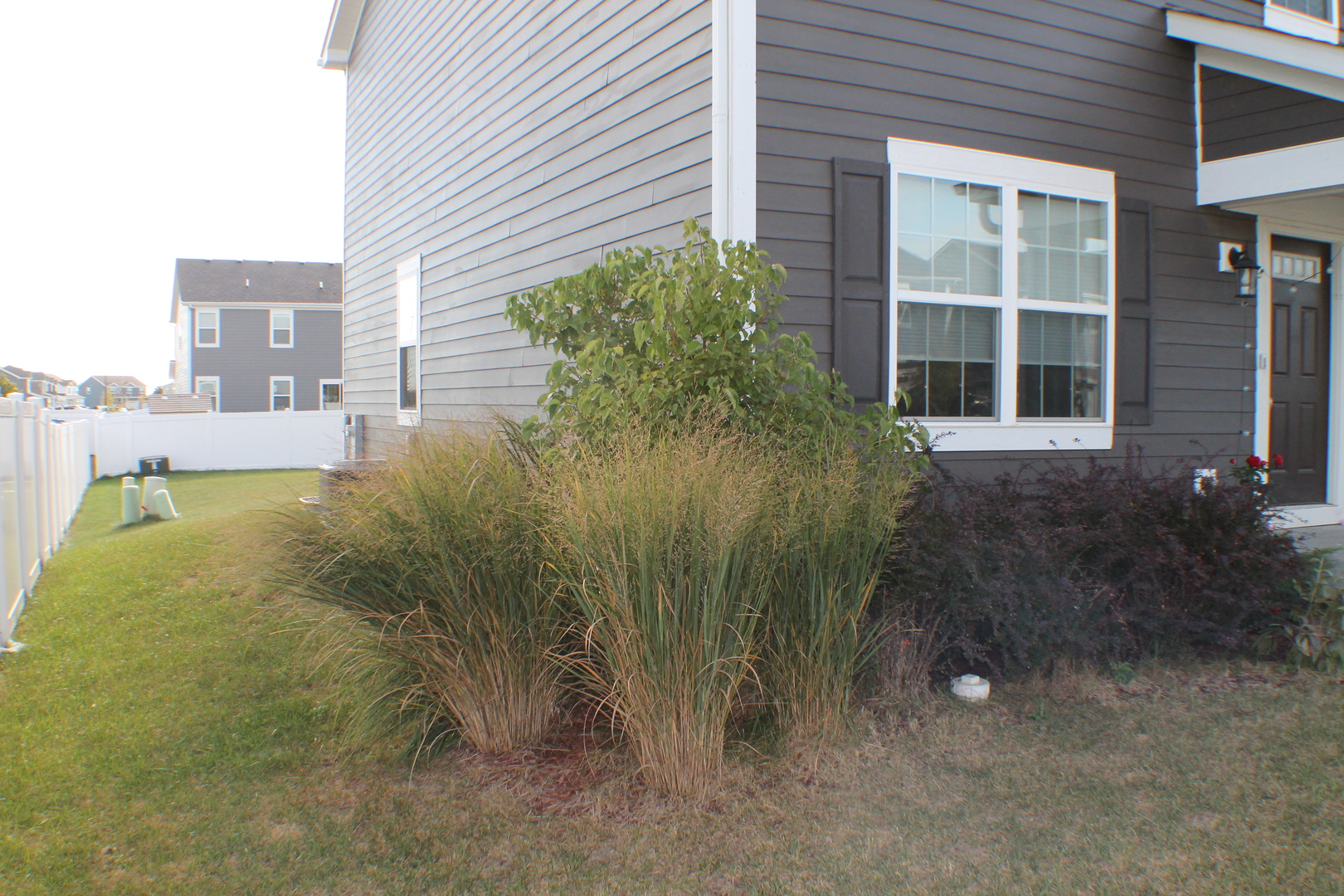 3759 St James Court Elgin, IL 60124 - Photo 21 of 28 a view of backyard of house and green space