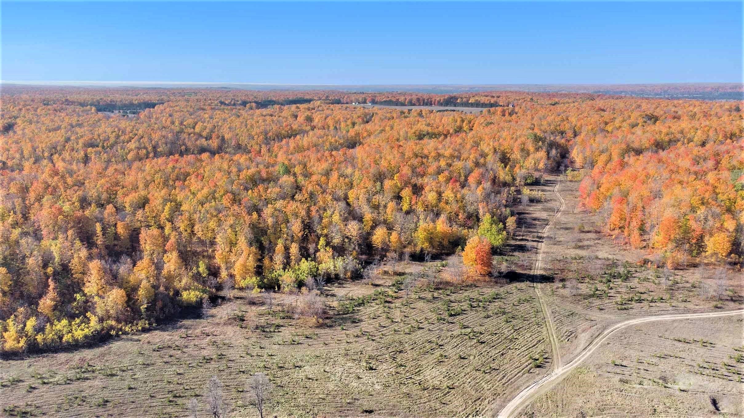 0 Twin Peaks Road Frederic, MI 49733 - Photo 29 of 35 Gallery Image 29