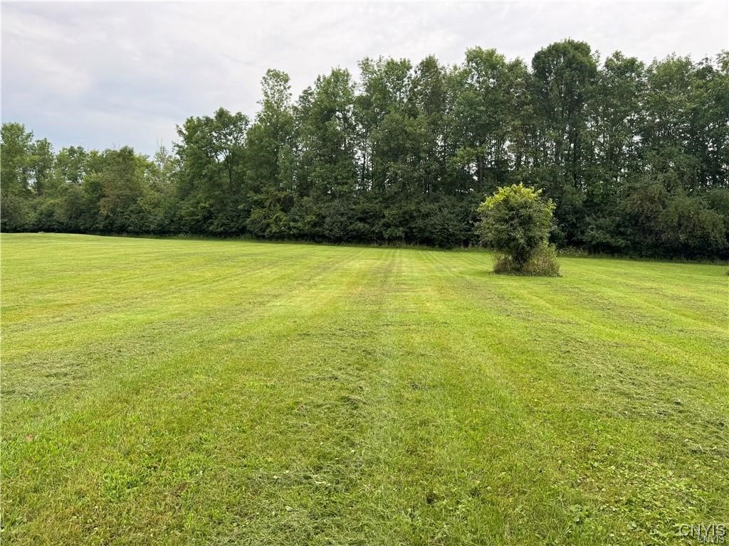 Cobbville Road Adams, NY 13605 - Photo 3 of 5